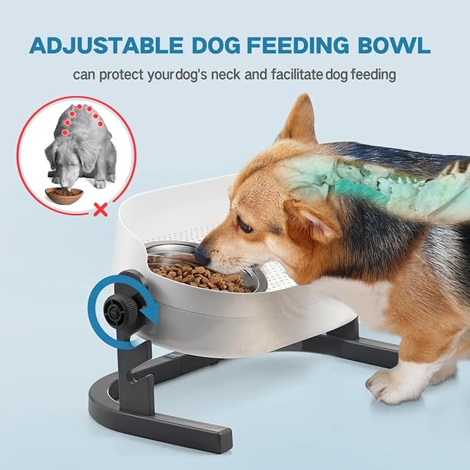 All for Paws Elevated Dog Bowls, Stainless Steel Food & Water Bowls, Height Adjustable Raised Cat Feeder Mess Proof Pet Feeding Bowls for Small to Large Size Dogs - Image 2