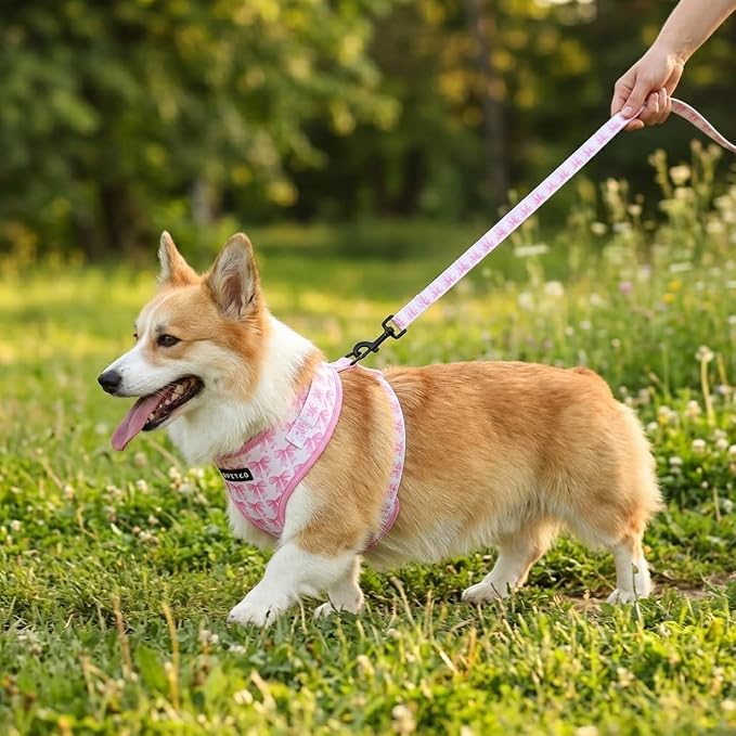 Small Dog Harness and Leash Set of 6, No Pull Soft Lightweight Mesh Puppy Harness, Adjustable Cute Floral Pattern Pet Harness for Small Medium Dogs (Pink Bow, S) - Image 8