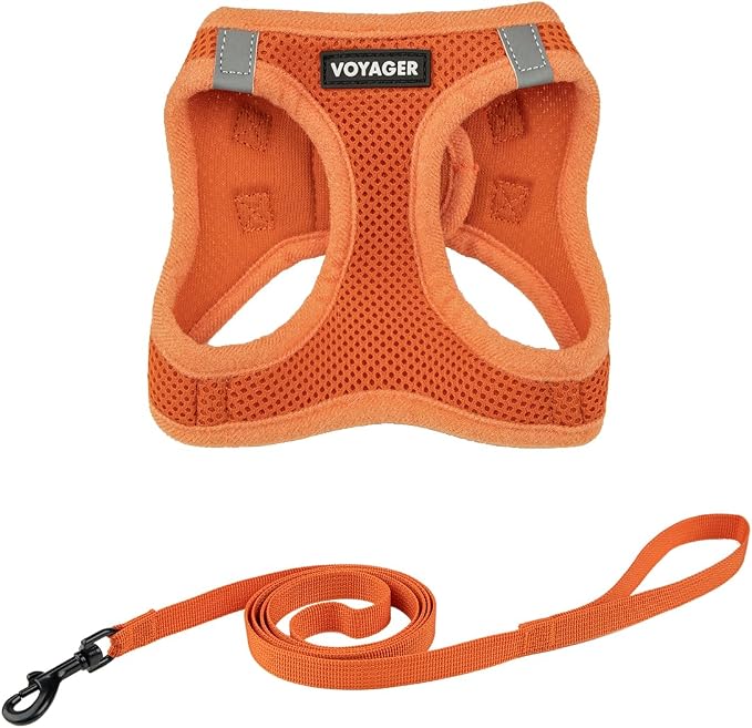 Voyager Step-in Air Cat Harness & Leash Set - Orange, XS | 13.5 - 15" in Chest, Reflective Bands, All Weather Breathable Air Mesh, Cats Compatible, Fast Drying by BestPetSuppliesLLC