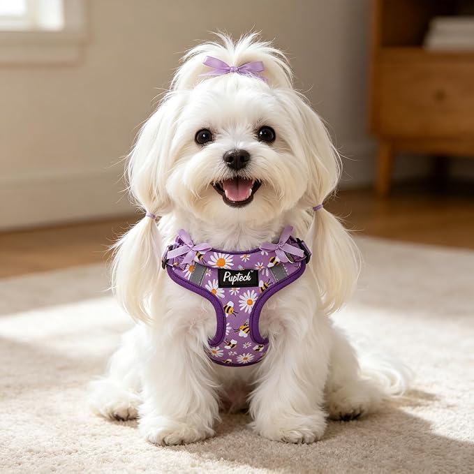 PUPTECK Dog Harness and Leash Set Small Sized, Step in No Pull Adjustable Puppy Cat Harness Reflective Pet Vest - Image 6