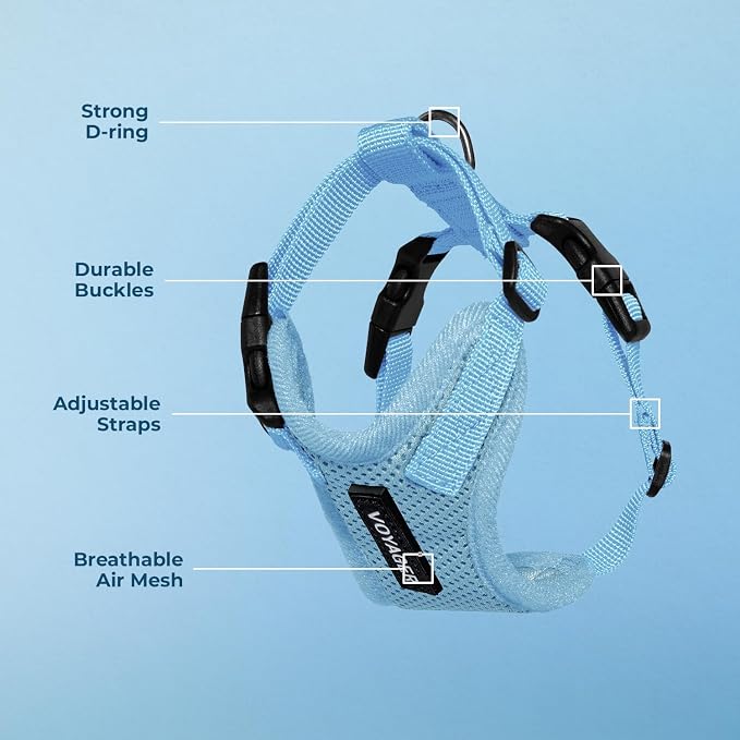 Voyager Step-in Lock Dog Harness - Baby Blue, Medium | 17 - 21" in Chest, Adjustable, Breathable Air Mesh, Lightweight for Daily Walks, Strong Clips, Heavy Duty D-Ring - Image 4