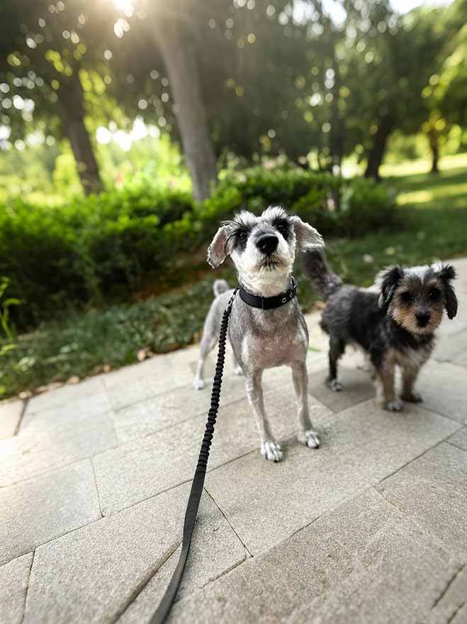 5FT Bungee Dog Leash Shock Absorbing Lightweight Small Medium Dogs | Reflective Nylon Lead 2cm Wide- Soft Handle- Anti-Pull Training- 6 Colors (Pink) - Image 9