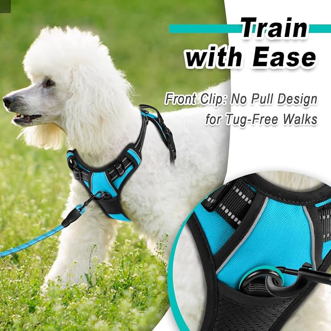 BARKBAY Dog Harness for Small Sized Dog No Pull 2 Leash Clips Dog Vest | Control Handle,Comfort,Heavy Duty,Adjustable Reflective,Perfect for Outdoor Training, Walking,Hiking(XS,Blue) - Image 2
