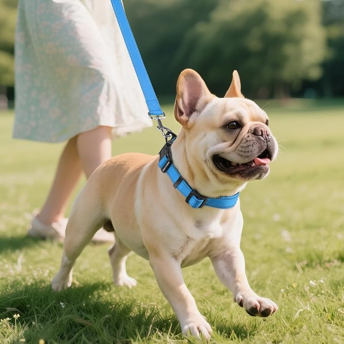 Joytale Reflective Dog Collar, Adjustable Neoprene Padded, Sky Blue M | Breathable Nylon for Medium Dogs, No Chafing on Walks and Backyard Play, All-Day Comfort, Metal D-Ring, Night Safety - Image 6
