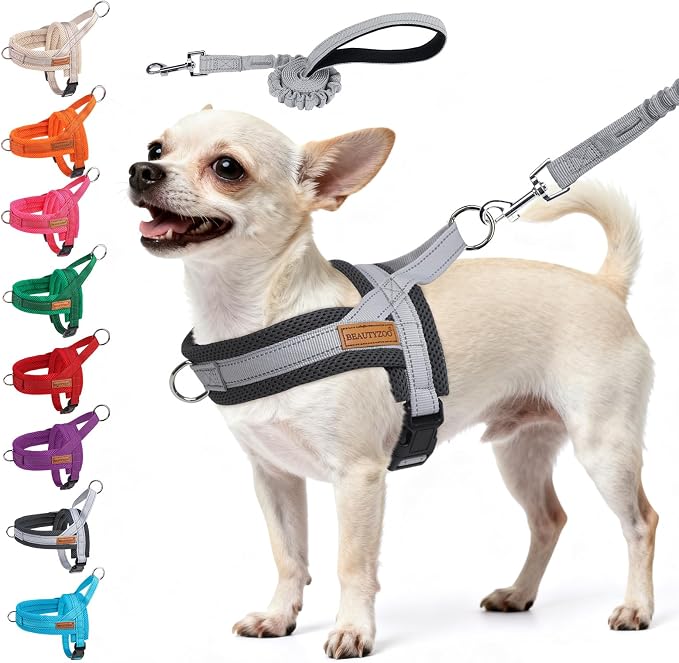 BEAUTYZOO Small Dog Harness and Leash Set, No Pull Step in Puppy Vest | Breathable Mesh with Handle, Reflective, Adjustable No Choke Escape Proof, Lightweight, Easy Control for Walking, Grey XS by BEAUTYZOO