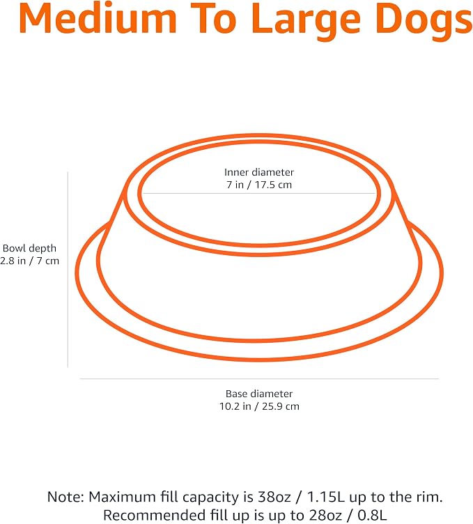 Amazon Basics Stainless Steel Non-Skid Dog Bowl, Dishwasher Safe, Rust Resistant, Single - Image 2