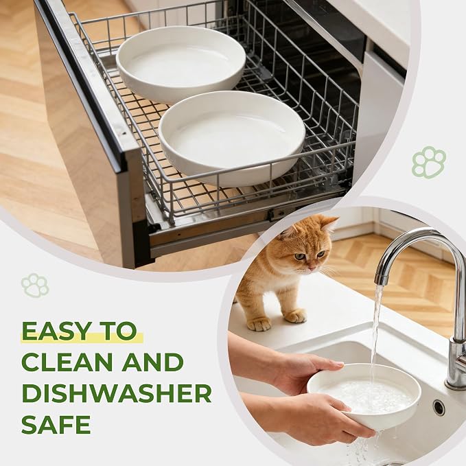 Raised Ceramic Cat Bowl 6.3" Wide Shallow Flat Bottom (2 Pack) | Neck Protective, Anti Whisker Fatigue, Anti Vomit, Dishwasher Safe, For Dry and Wet Food, For Kittens & Seniors - Image 6