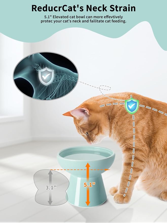 LoeJan Elevated Cat Food and Water Bowls Set, Extra Wide and Raised Ceramic Feeder, Anti-Vomit Whisker-Free Pressure Feeding Bowl for Kittens Adult Small Dogs, Blue - Image 4