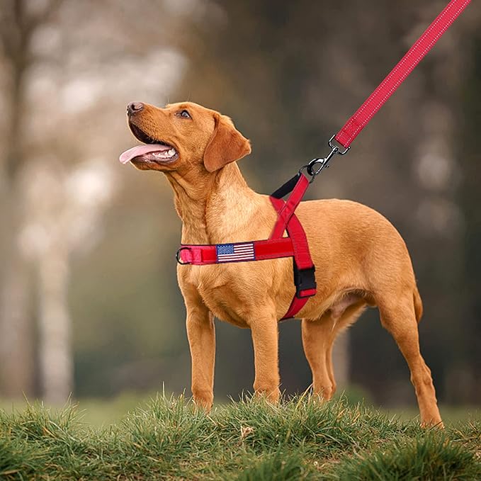 Annchwool No Pull Dog Harness with Padded Handle+5 Ft Leash,Reflective Strip Escape Proof and Quick Fit to Adjust Dog Harness,Easy for Training Walking for Small & Medium and Large Dogs(Red-Set,XL) - Image 6