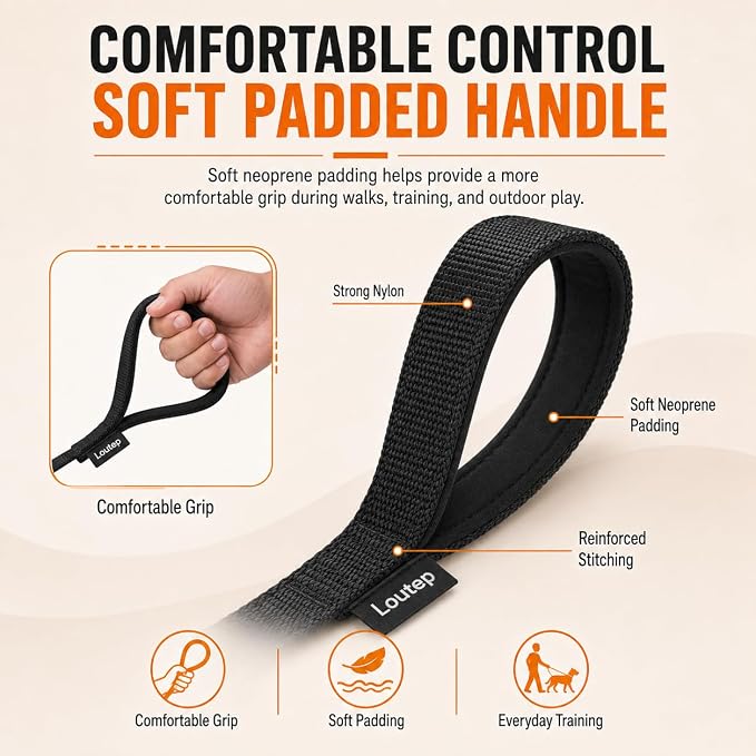 Long Line Dog Training Leash with Padded Handle, 100 ft, Black | Durable nylon webbing with reinforced stitching and 360° swivel clip for recall and obedience - Image 3