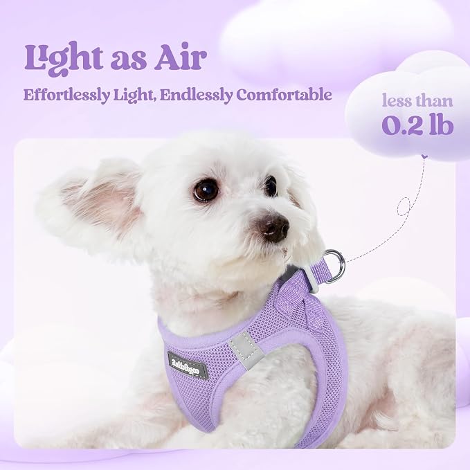 rabbitgoo Dog Harness Small Sized and Leash Set, Step-in Puppy Pet Vest | Light, Soft, Breathable Air Mesh, Easy on and Remove with Hook & Loop, Secure Reflective for Walking, Light Purple M - Image 3