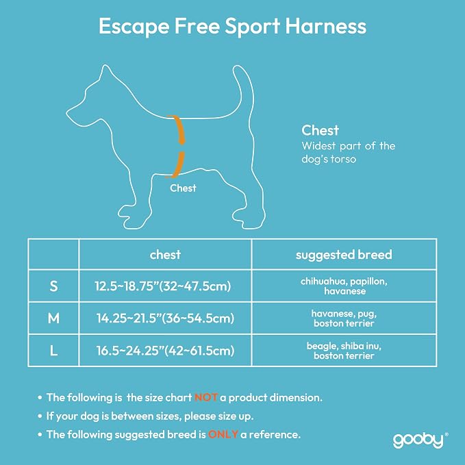 Gooby Escape Free Sport Dog Harness, Choke-Free, Turquoise, Small | Patented escape-free frame; Reduces choking; 4-point adjustment; Soft neoprene padding; Durable webbed straps - Image 4