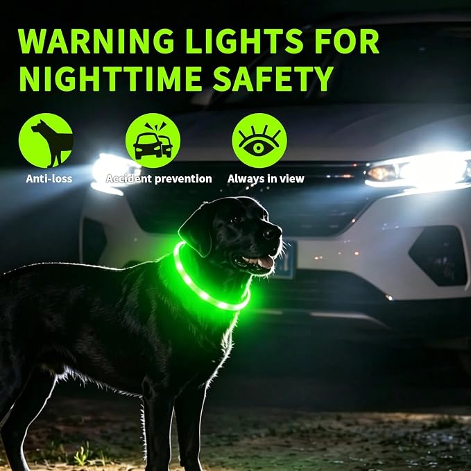 LaRoo LED Dog Collar, USB Rechargeable Flashing Light Dog Collar, Nighttime Safety, Cuttable Size for Small Medium Large Dogs, Makes Your Pet Visible in The Dark (Green) - Image 5