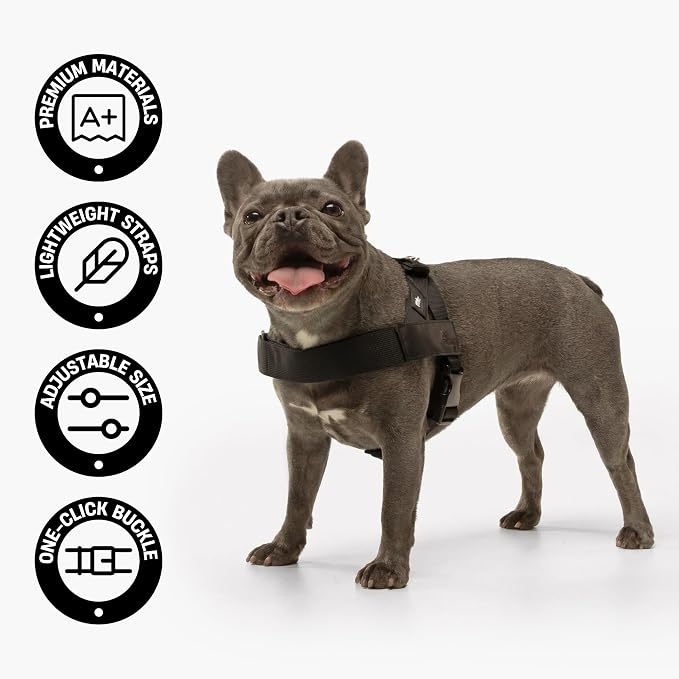 Dog Friendly Co. Dog Harness for Medium Sized Dogs (Classic Blue, Medium) | One Click Buckle, Chafe Resistant Webbing, Adjustable Neck & Chest, and Heavy Duty D-Ring, Sturdy Comfortable and Easy to Use - Image 4