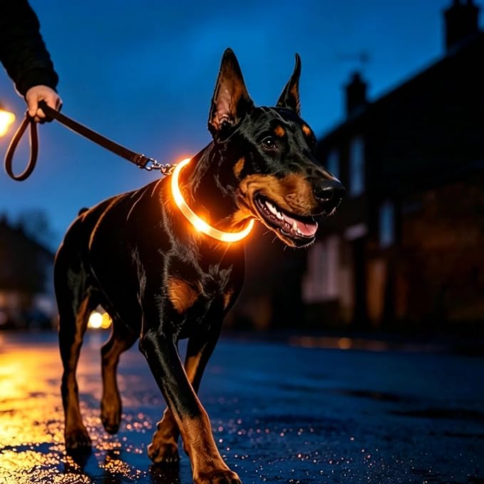 LaRoo LED Dog Collar, USB Rechargeable Flashing Light Dog Collar, Nighttime Safety, Cuttable Size for Small Medium Large Dogs, Makes Your Pet Visible in The Dark (Orange) - Image 2