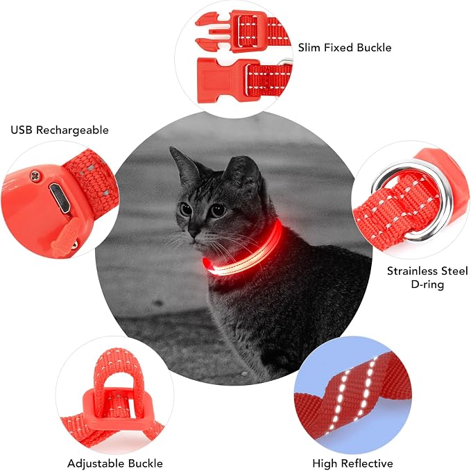 Light up Dog Collar for Small Dog,Vizpet XS Adjustable Size Nylon Collar USB Rechargeable Bright Safety Pet Collar for Cats Dogs (Red，XS) - Image 6