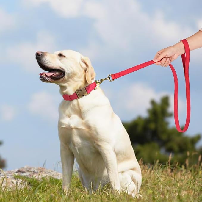 Didog PU Leather Dog Leash for Small Dogs, 5/8in x 4ft, Red | Soft Grip Full Control, Easy Clean, Metal D-ring for Poop Bag Holder, Tangle-Free 360° Swivel Clasp, for Walking & Training - Image 2