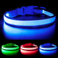 LED Dog Collar, Dog Light Up Collar,for Night Walking (Small, Blue-2) | Full Adjustable,Waterproof,Nylon,Soft,Super Bright Light Collars for Small Medium and Large Dogs,USB C to Charge by YFbrite