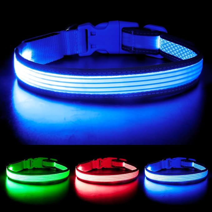 LED Dog Collar, Dog Light Up Collar,for Night Walking (Small, Blue-2) | Full Adjustable,Waterproof,Nylon,Soft,Super Bright Light Collars for Small Medium and Large Dogs,USB C to Charge by YFbrite