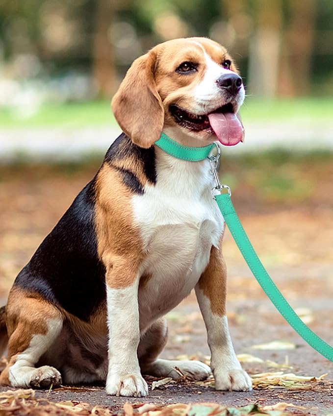 Taglory Reflective Dog Leash for Small Dogs, 3/4in x 5ft, Turquoise | Ideal for Night Walking, Strong for Sudden Pulls, Lightweight & Gentle on the Neck, Soft Padded Handle - Image 6