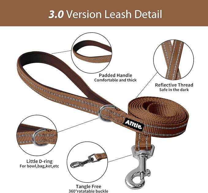 AIITLE Small Dog Harness and Leash Set, Step-in Puppy Pet Vest, Beige S | Light, Soft, Breathable Air Mesh, Escape-Proof, Easy on and Remove with Hook & Loop, Secure Reflective for Walking - Image 5
