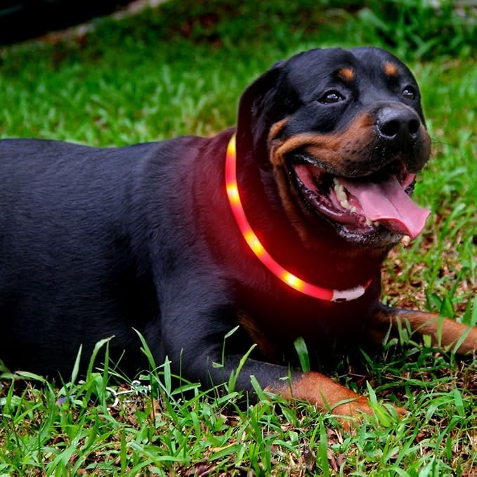 LED Dog Collar,USB Rechargeable Glowing Dog Collars, Light Up Collar Improved Pet Safety &Visibility at Night, 3 Flashing Modes,Water-Resistant LED Lighted Fits for Small Medium Large Dogs - Image 2