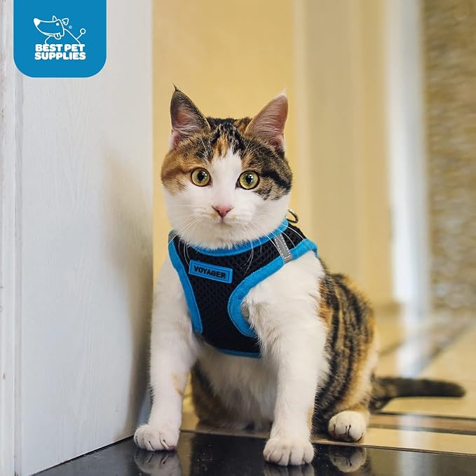 Voyager Step-in Air Dog Vest Harness - Black/Blue Trim, X-Small | 13 - 14.5" in Chest, Reflective Bands, All Weather Breathable Air Mesh, Cats Compatible, Lightweight, Fast Drying - Image 10