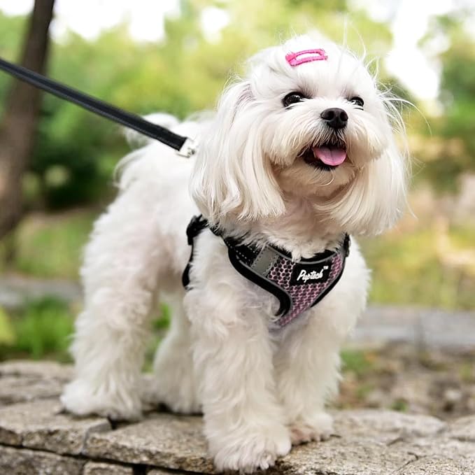 PUPTECK Dog Harness and Leash Set Small Sized, Step in No Pull Adjustable Puppy Cat Harness Reflective Pet Vest - Image 5