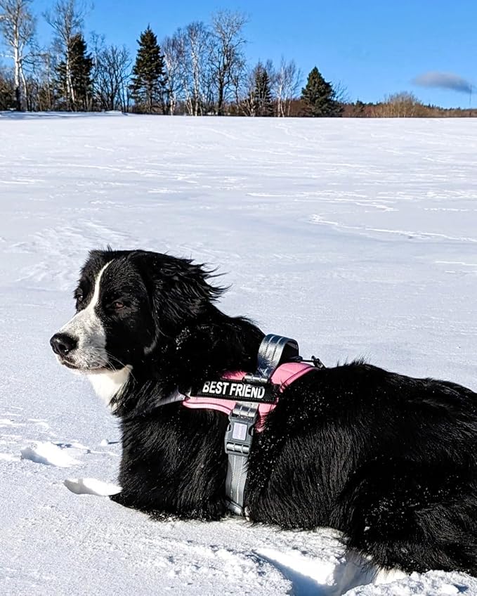 AUROTH Dog Harness and Leash Set for Large Sized Dog, No Pull Dog Vest | with Leash Clips, LED light clip, Soft Padded No Choke, Escape Proof, Easy Walking and Training, Pink, XL - Image 7