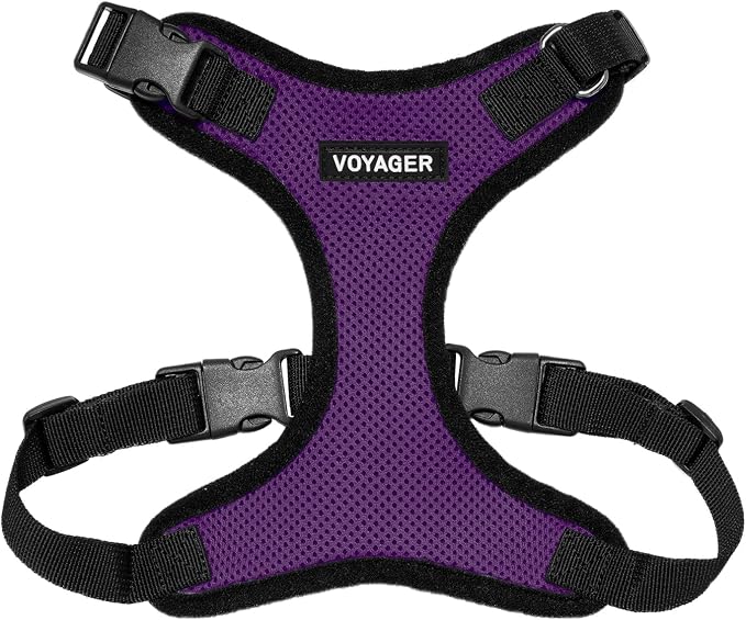 Voyager Step-in Lock Dog Harness - Purple/Black Trim, X-Large | 23 - 28" in Chest, Adjustable, Breathable Air Mesh, Lightweight for Daily Walks, Strong Clips, Heavy Duty D-Ring by BestPetSuppliesLLC
