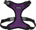 Voyager Step-in Lock Dog Harness - Purple/Black Trim, X-Large | 23 - 28" in Chest, Adjustable, Breathable Air Mesh, Lightweight for Daily Walks, Strong Clips, Heavy Duty D-Ring by BestPetSuppliesLLC