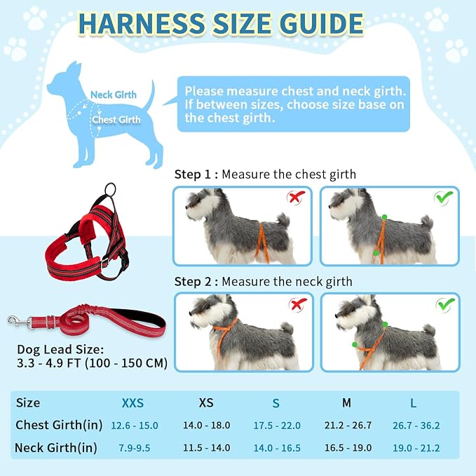 SlowTon No Pull Small Dog Harness and Leash Set with Front Clip | Soft Padded, Neck & Chest Adjustable, Lightweight, Anti-Twist, Puppy Vest Harness Pet Lead Combo for Small Medium Dog, R XXS - Image 5