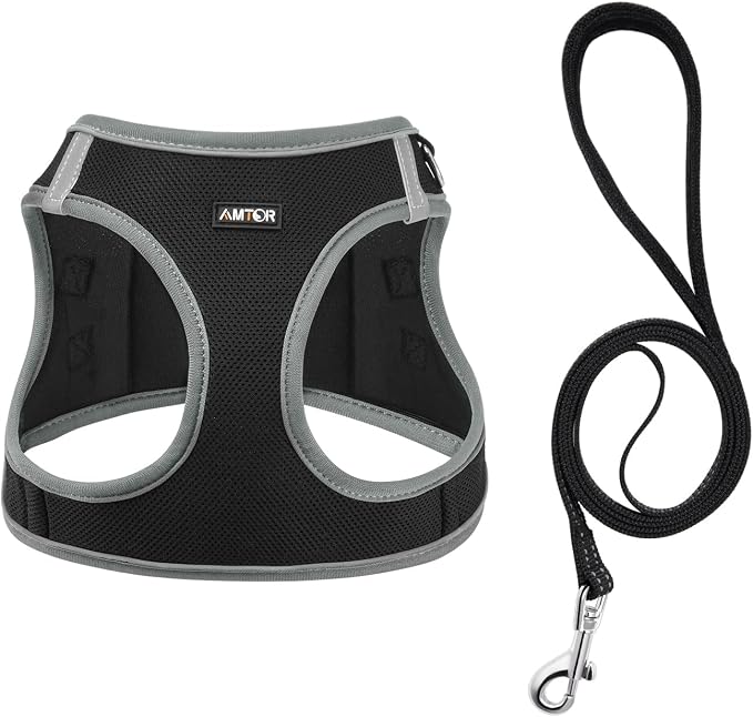 AMTOR Small Dog Harness with Leash Set, No Escape Easy Walk Puppy Harnesses for Training Walking, Step-in Reflective Soft Dogs Vest for XS S Medium Extra-Small Large Sized Dog(Black/Grey,XS) - Image 2