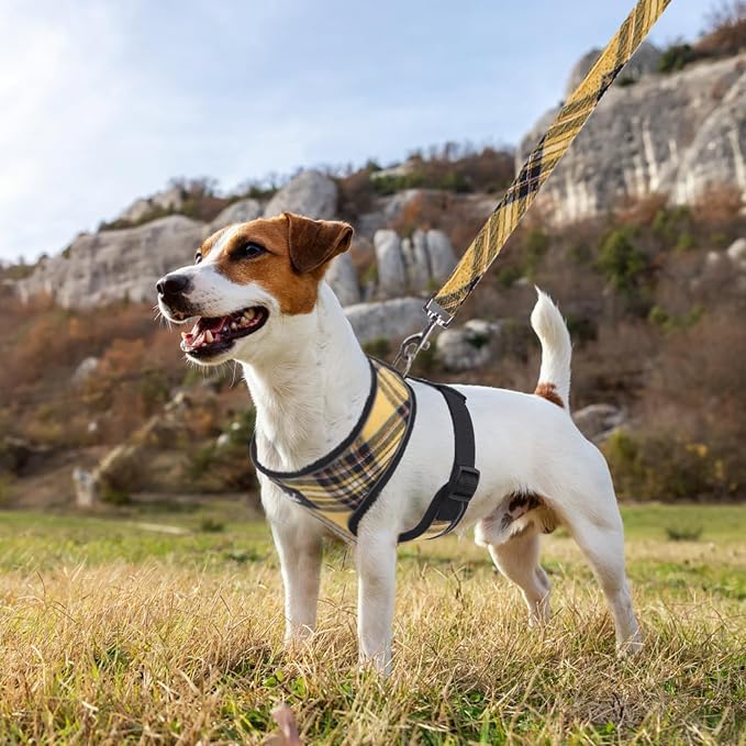 PUPTECK Small Dog Harness and Leash Set No Pull for XS XXS Sized Dogs Puppy | Escape Proof No Choke Pet Cat Adjustable Soft Padded Walking Vest - Image 6