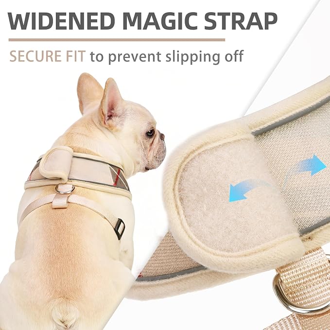 PUPTECK Small Dog Harness and Leash Set No Pull for XS XXS Sized Dogs Puppy | Escape Proof No Choke Pet Cat Adjustable Soft Padded Walking Vest - Image 2
