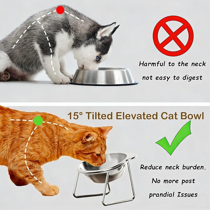 Cat Bowl 2PC,5.9" Cat Food Dishes,Metal Cat Bowl | 304 Stainless Steel,Whisker Friendly,Heavy Duty,Food and Water Dishes for Small Cats & Puppies,Dishwasher Safe - Image 6