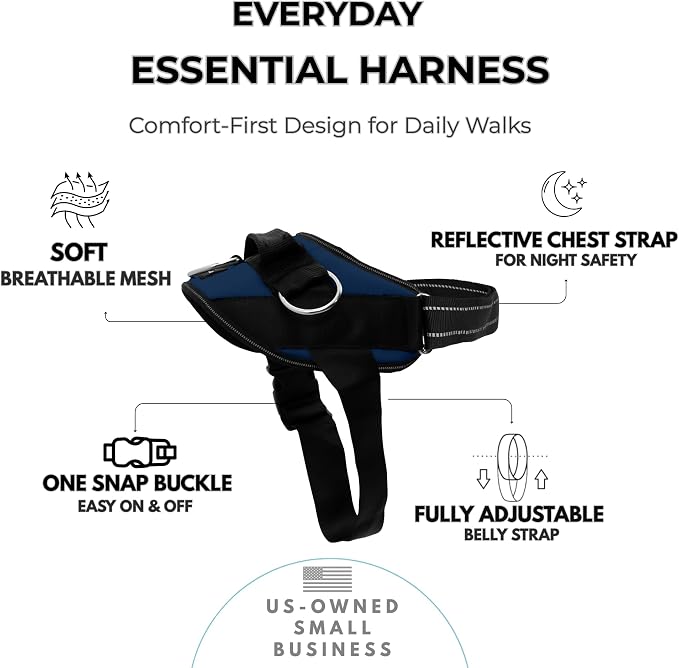 ShawnCo Essential Dog Harness, No-Pull Pet Vest (Pacific Blue,M) | 3 Leash Clips, Easy On, No-Choke, Reflective, Adjustable Fit, Padded Comfort, Control Handle, For Small, Medium & Large Dogs - Image 2