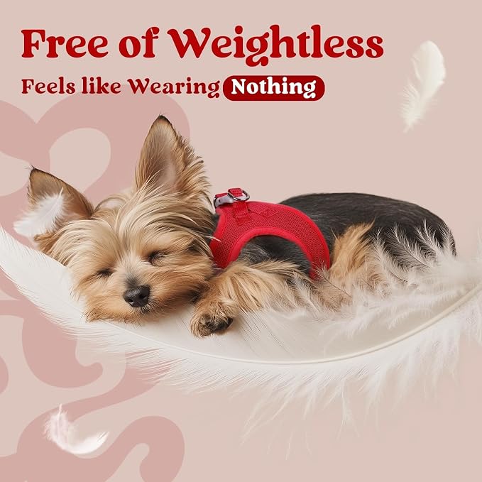 rabbitgoo Step-in Small Dog Harness, Puppy Vest for Small Sized Pet | Easy Put on and off, Lightweight, Soft, Breathable Quick-Dry Air Mesh for Comfortable Secure Walking, Red XXS - Image 4