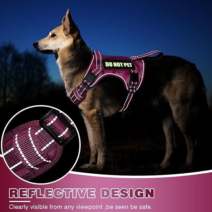 Tactical Dog Harness, No Pull Dog Harness for Medium Large Dogs with Handle & Molle, Military Service Dog Vest Harness in Training Pet Harness for Small Dogs - Image 4