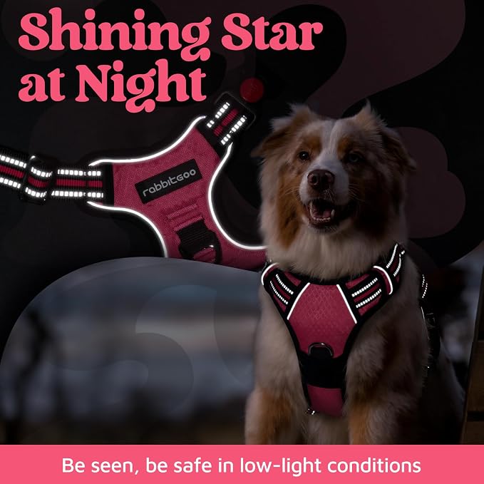 rabbitgoo Dog Harness Medium Sized, No Pull 3 Buckles Easy On & Off | Soft Padded, Walking with Control Handle, Adjustable and Reflective, Pink, Medium - Image 6