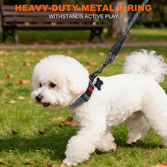 Taglory Reflective Small Dog Collar, Comfortable for Safe Night Walks, Grey | Night-Walk Visibility, Soft Neck Cushioning, Adjustable 10-16 in, Locking Buckle, D-Ring for Leash and ID Tags - Image 6