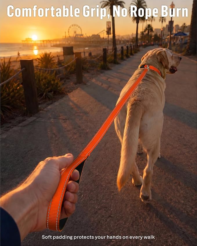FunTags Reflective Nylon Dog Leash for Medium & Large Dogs, 6FT for Walks | Comfortable Padded Grip, Stay Safe at Night, 360° Anti-Tangle Swivel, for Dog Parks & Trails, Orange - Image 2