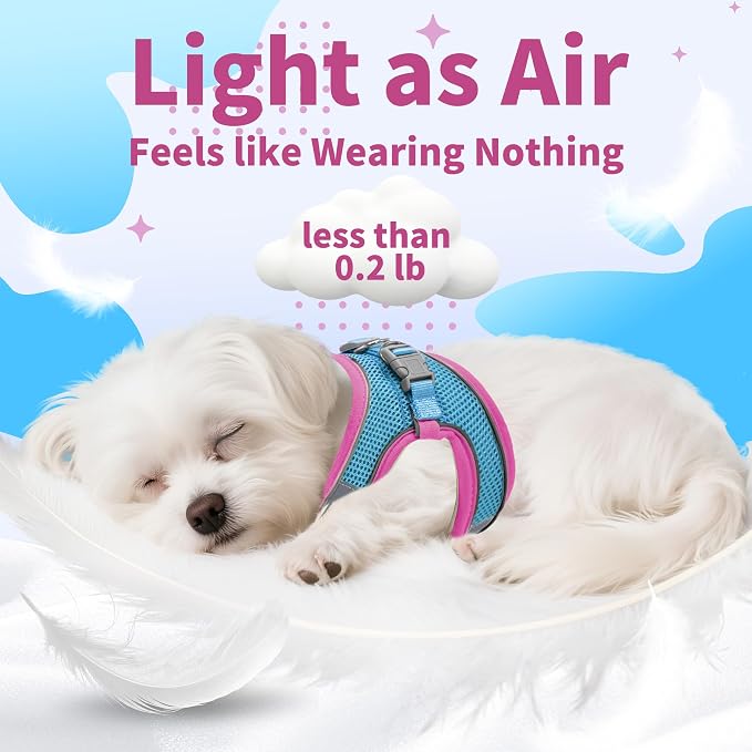 AIITLE Dog Harness and Leash Set, Step-in Puppy Pet Vest, Hot Pink M | Breathable Mesh, Adjustable Fit, Reflective Design, Padded Leash Handle, for Small-Medium Dogs & Cats, Walking, Training - Image 6