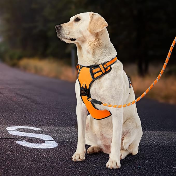 IVY&LANE No Pull Dog Harness for Large Dogs, Dog Vest Harness with Leash, Safety Belt and Storage Strap, Fully Adjustable Harness, 360° Reflective Strip, Soft Handle (Orange, L) - Image 7