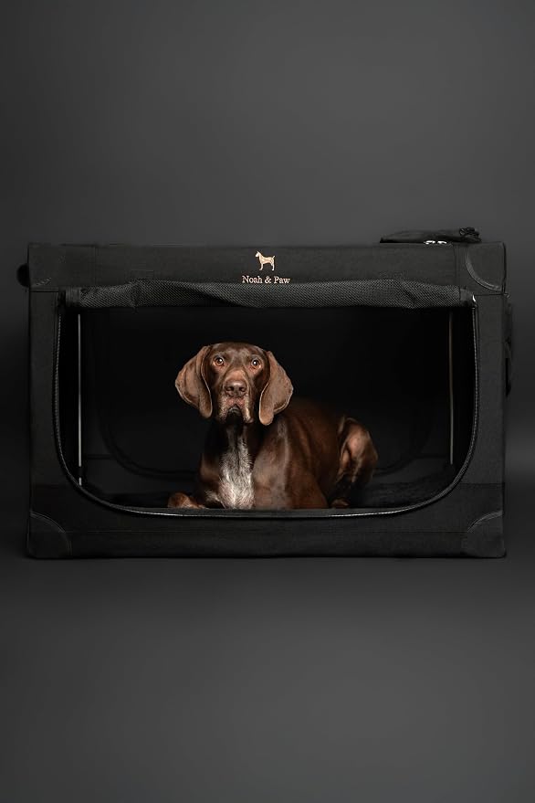 Noah & Paw Collapsible Dog Crate 36 Inches, XL Dog Crate for XL, Large Medium Breed, Travel Kennel for Car, Includes Pet Mat for Pet Cage, 2 Storage Pockets, Handbag, 10mm Locking Zippers 36*25*23 - Image 7
