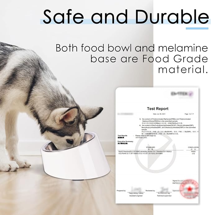 SUPERDESIGN Anti-Vomiting 15° Slanted Pet Bowl S/0.5 Cup White | 15° Tilted, Anti-Vomit & Neck Relief, Non-Slip Base, Detachable Stainless Steel Liner, Dishwasher Safe, for Cats & Dogs - Image 6