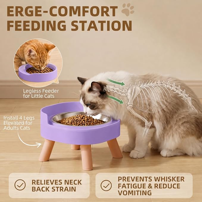 Elevated Cat Bowls, 2P Raised Cat Food and Water Bowl Set for Indoor Cats, Splash Proof with 2 Stainless Steel Pet Food Bowls for Cats ＆ Puppies, Whisker Friendly and Dishwasher Safe - Purple - Image 5