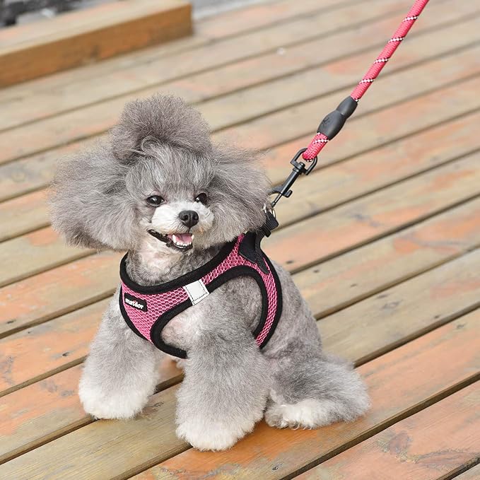 Dog Harness Step-in Breathable Puppy Cat Dog Vest Harnesses for Small Medium Dogs - Image 6