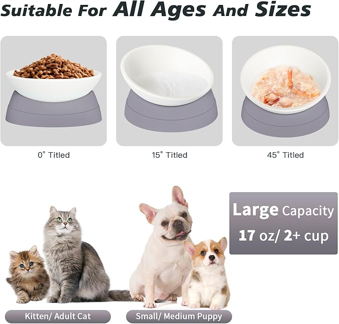 Ravitat 4Pcs Elevated Cat Food Bowl - Adjustable, Anti-Slip & Anti-Noise, Protects Pet's Spine, Thickened Plastic, 17 Oz - Image 3