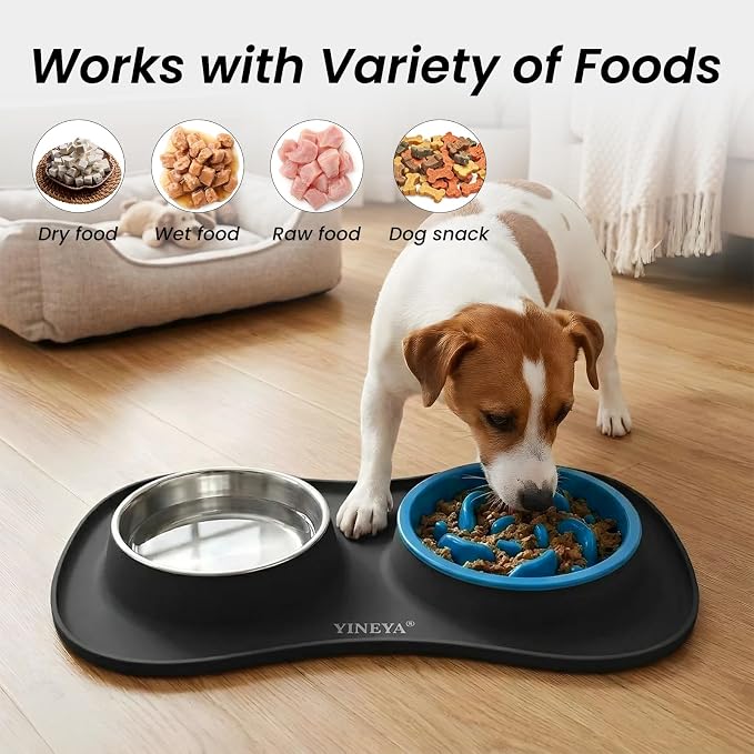 YINEYA 3 in 1 Slow Feeder Dog Bowls,Dog Water Bowl,Cat and Dog Food Bowl | Stainless Steel Dog Bowls with Non-Spill Dog Bowl Mat, Anti-Choking Puppy Bowls, Easy Clean for Large Medium Small Dogs Cats - Image 6
